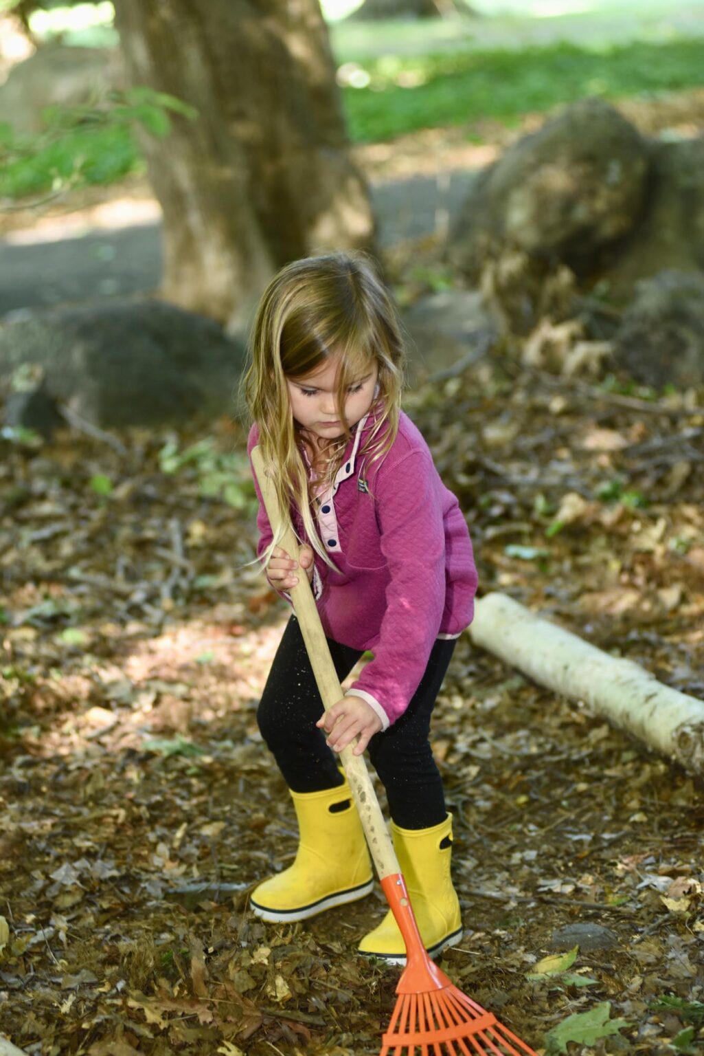 Be4K Connecting Program